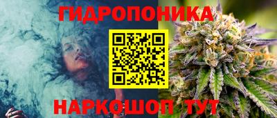 молекула духа Волжск